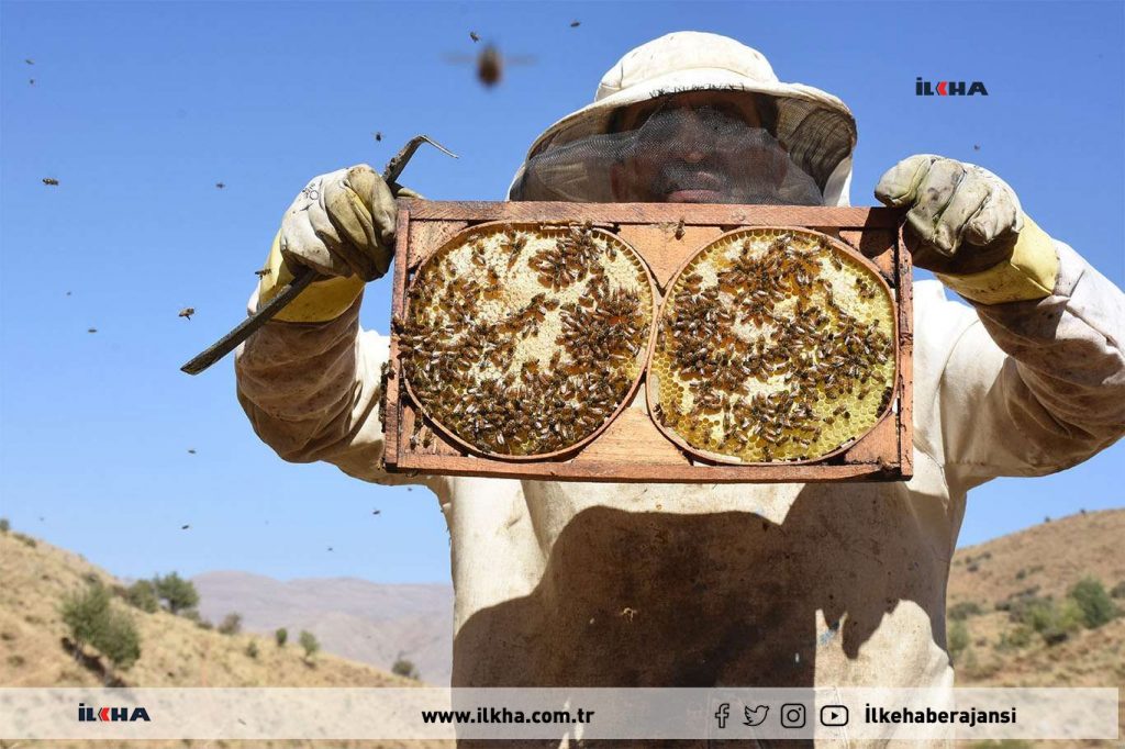 Bitlis balı ‘Golden Honey’ kategorisinde dünya şampiyonu oldu