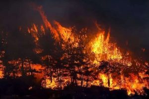 Antalya'da orman yangını