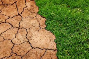 Kuraklıkla mücadelede 5 yıllık yol haritası belirlendi