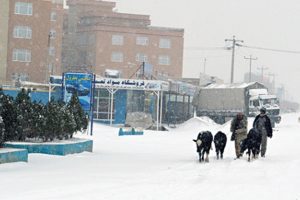 Afganistan'da 45 kişi donarak hayatını kaybetti